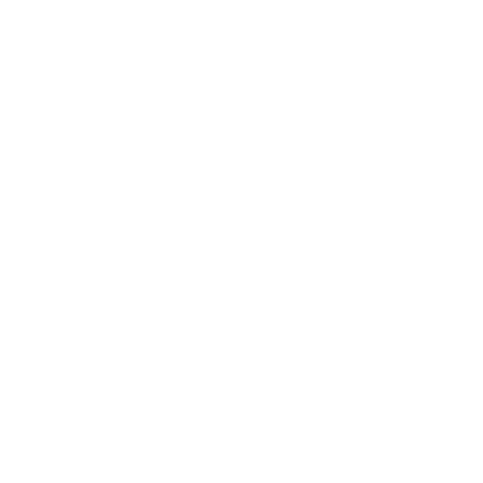 AE Logo